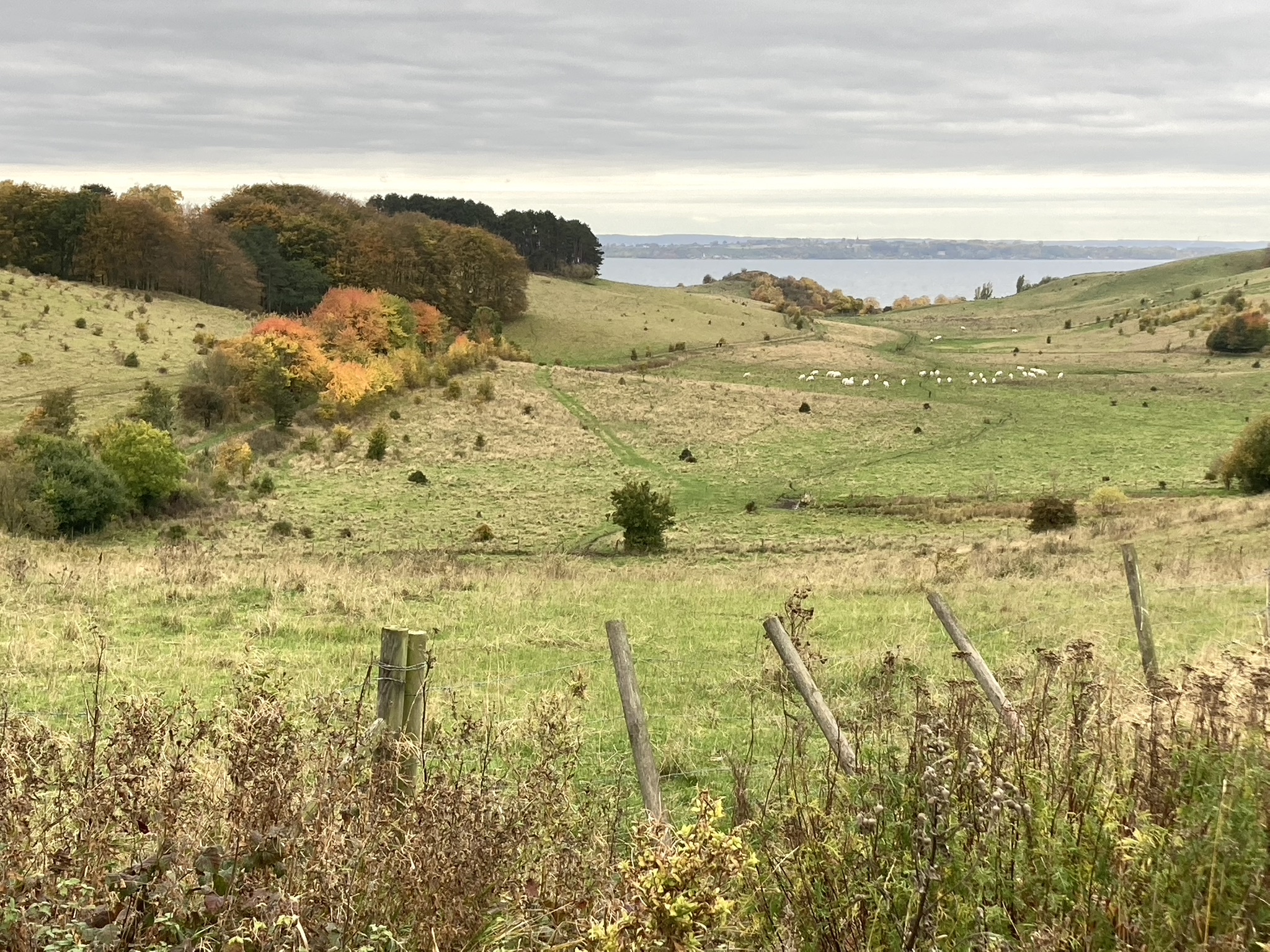 View of Skåne