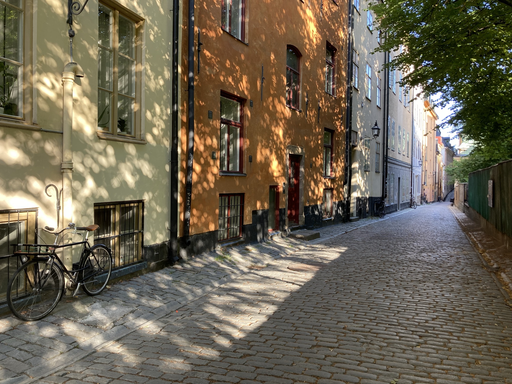 The bicycle